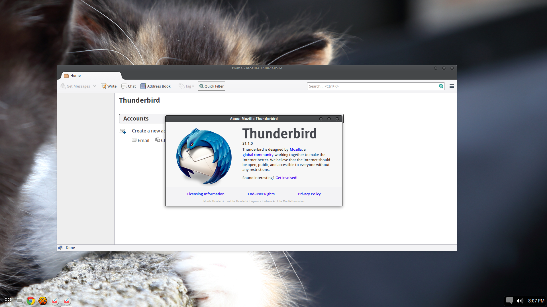 Thunderbird 31.1.0 Now Available